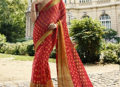 BrassoSarees1589376884